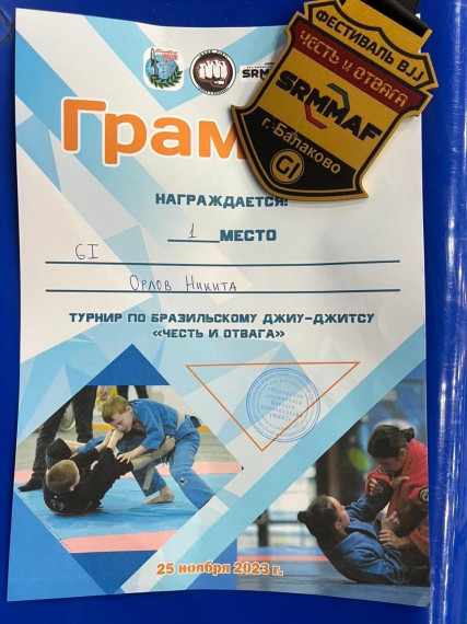 Орлов Никита занял 1 место на областном турнире.